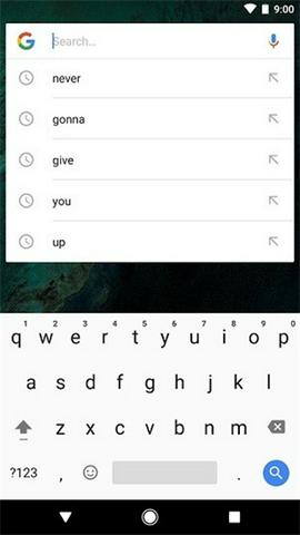 谷歌桌面启动器截图5