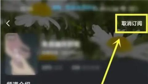 酷狗概念版旧版本[图5]