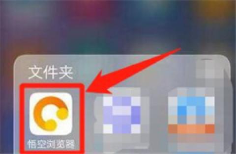 悟空浏览器极速版下载免费安装[图1]