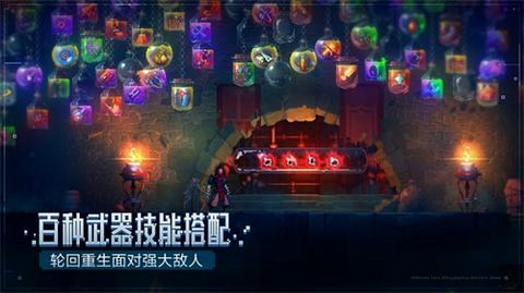 重生细胞国际版截图3