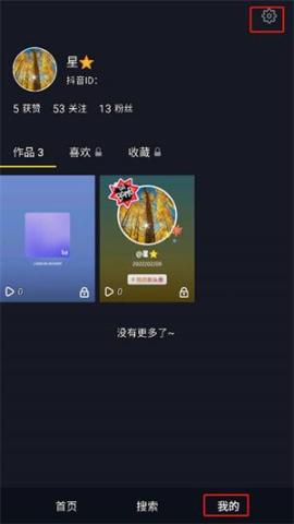 抖音车机版[图1]