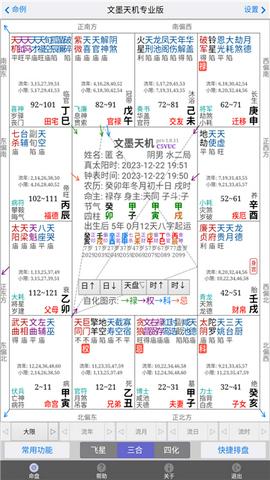 文墨天机紫微斗数公众免费版截图5