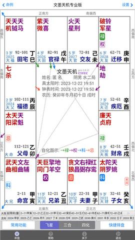 文墨天机紫微斗数公众免费版截图15