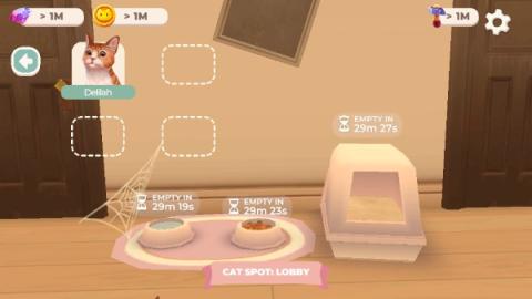 猫咪救援故事[图6]