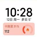红米K30S至尊纪念版刷机包