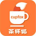 茶杯狐cupfox简单版