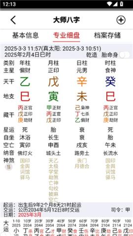 大师八字排盘专业版[图3]