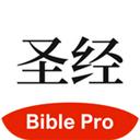 主内圣经注释