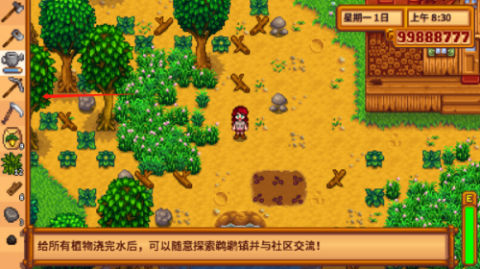 星露谷物语美化版[图8]