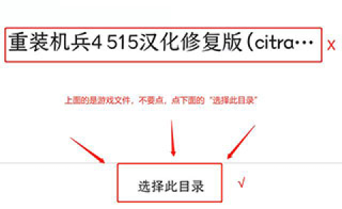 citra模拟器安卓汉化版[图4]