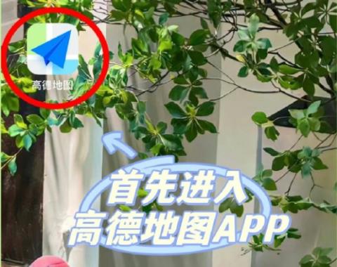 导航地图高德[图4]