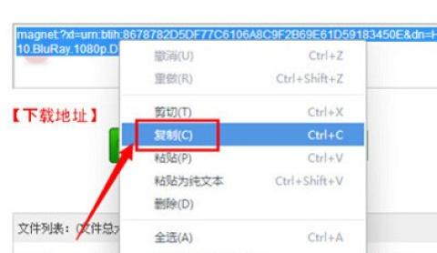 磁力猫ios版[图3]