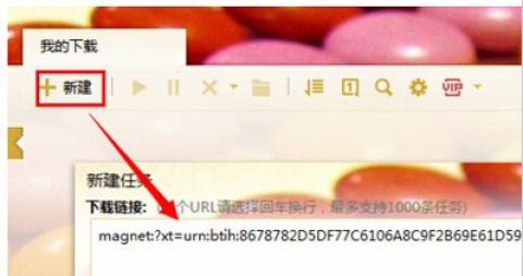 磁力猫ios版[图4]