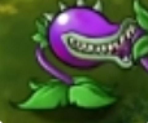 pvz旅行版[图10]