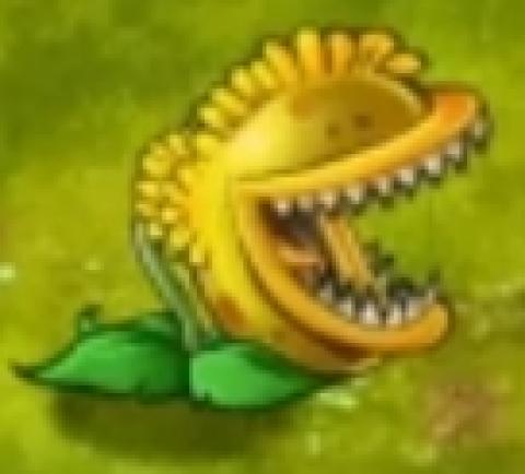 pvz旅行版[图13]