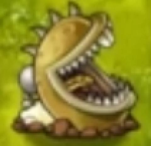 pvz旅行版[图15]
