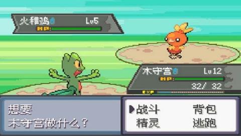 口袋妖怪极光石2.5A[图3]