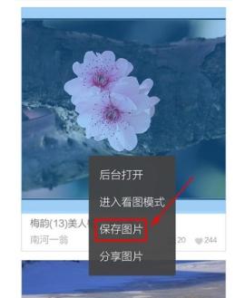 uc浏览器网页版[图5]