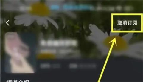 酷狗概念版去广告vip版[图13]