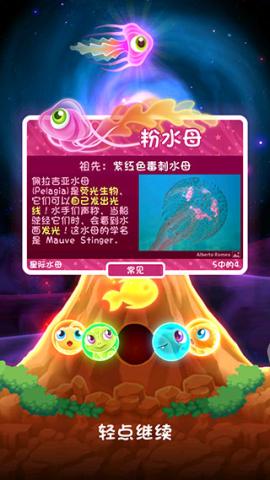 超级星鱼[图8]