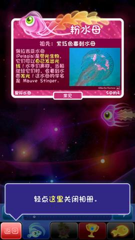 超级星鱼[图10]