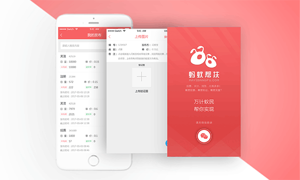 蚂蚁帮扶[图1]