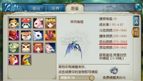 诛仙手游宠物怎么发光[图2]