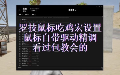 鼠标宏绝地求生怎么调[图2]
