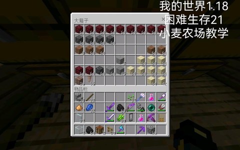 我的世界麦子怎么种[图1]