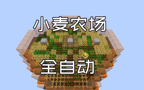 我的世界麦子怎么种[图2]