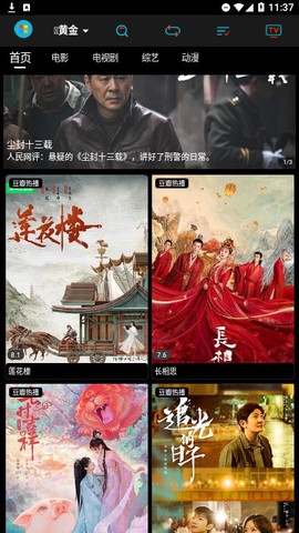 黄金影视截图2