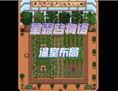 星露谷物语温室怎么开[图2]