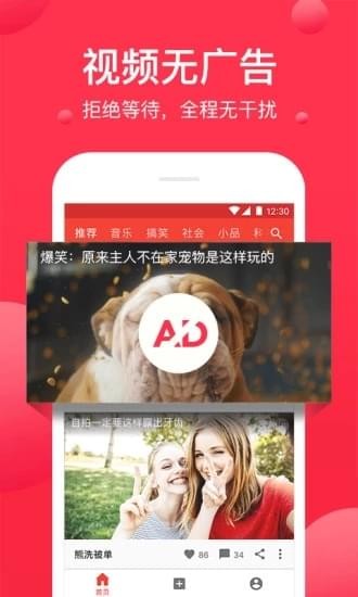 球球视频[图1]