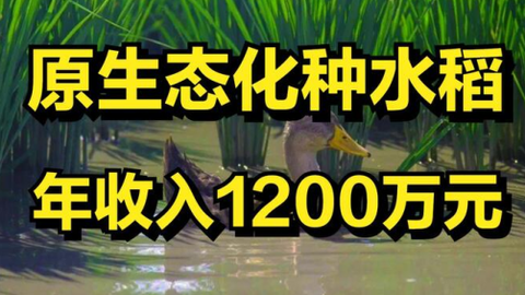 一亩田[图1]
