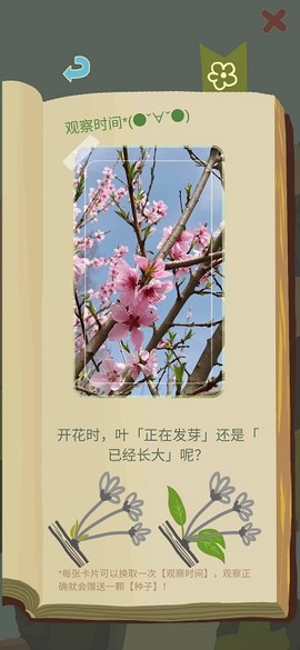 老农种树[图2]