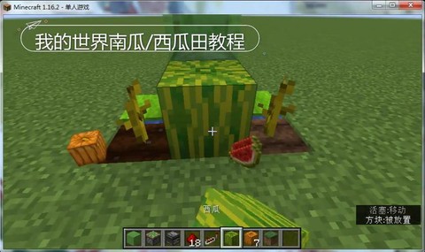 我的世界手机版西瓜怎么种[图2]