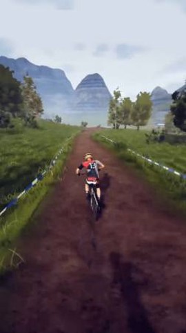 飞跃自行车[图1]