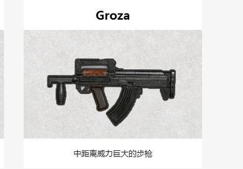 绝地求生狗杂是什么[图2]