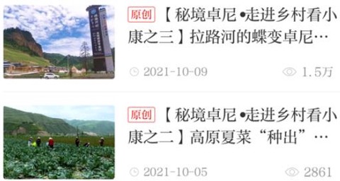 新卓尼[图2]