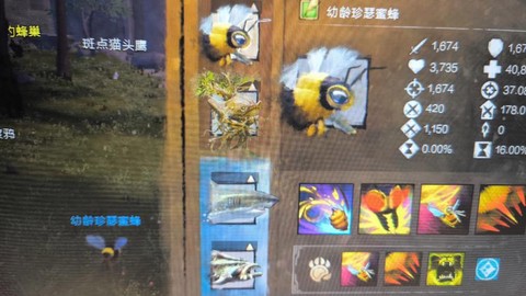 激战2游侠带什么宠物[图2]
