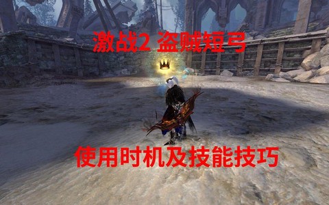 激战2盗贼用什么武器[图1]