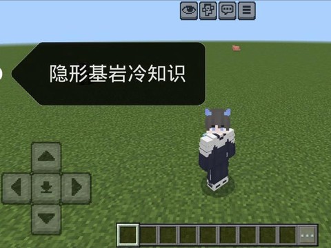 我的世界手机版隐形基岩怎么做[图2]