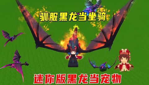 迷你世界黑龙怎么做[图2]