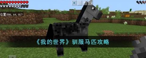 我的世界怎么训练马[图1]