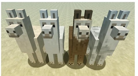 我的世界羊驼怎么坐[图1]