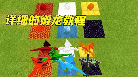 我的世界手游龙蛋怎么孵化[图2]