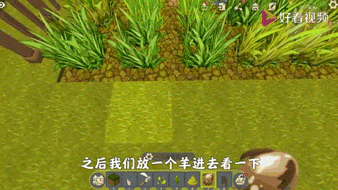 迷你世界怎么弄无限血[图1]