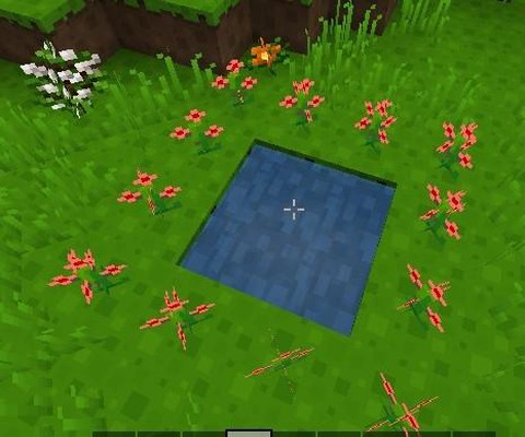 我的世界手机版暮色森林怎么去[图1]