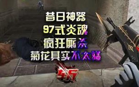 生死狙击菊花是什么[图1]