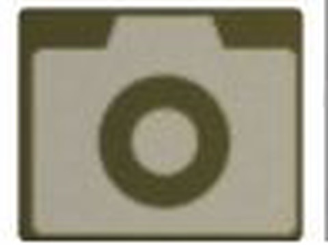 从细胞到奇点：进化永无止境[图8]